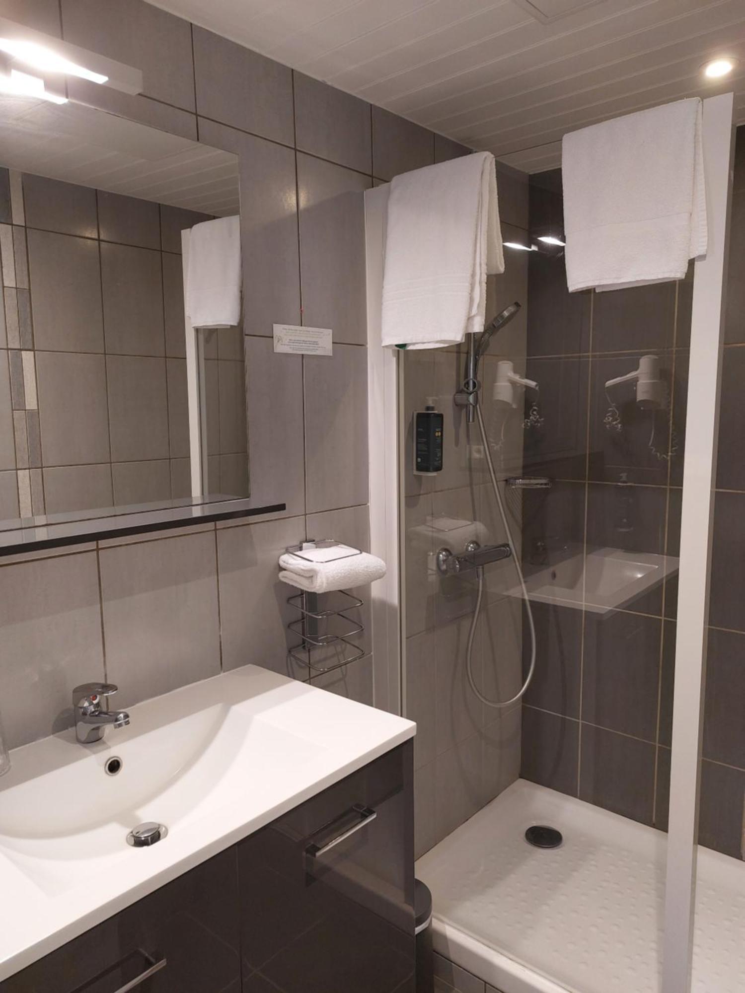 Brit Hotel Roanne - Le Grand Hotel エクステリア 写真